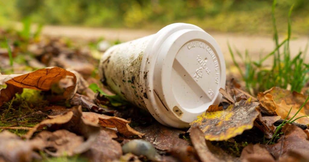 discarded disposable plastic coffee cup on leaves